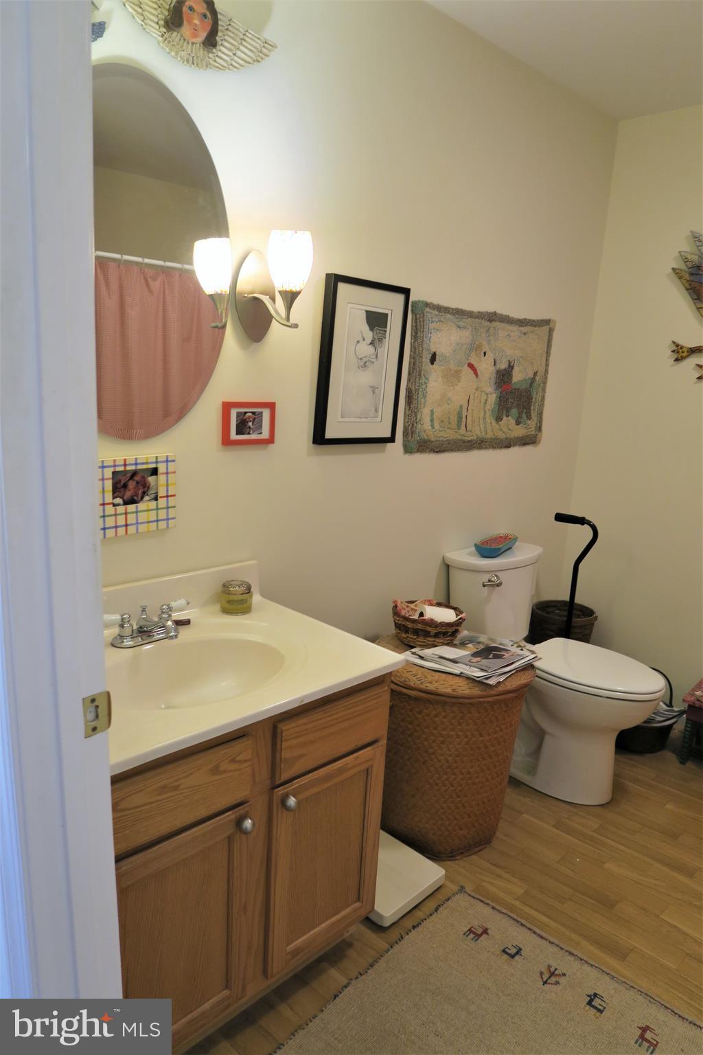 9410 Everona Road Unionville, VA 22567 - Photo 18 of 36 Guest Bathroom