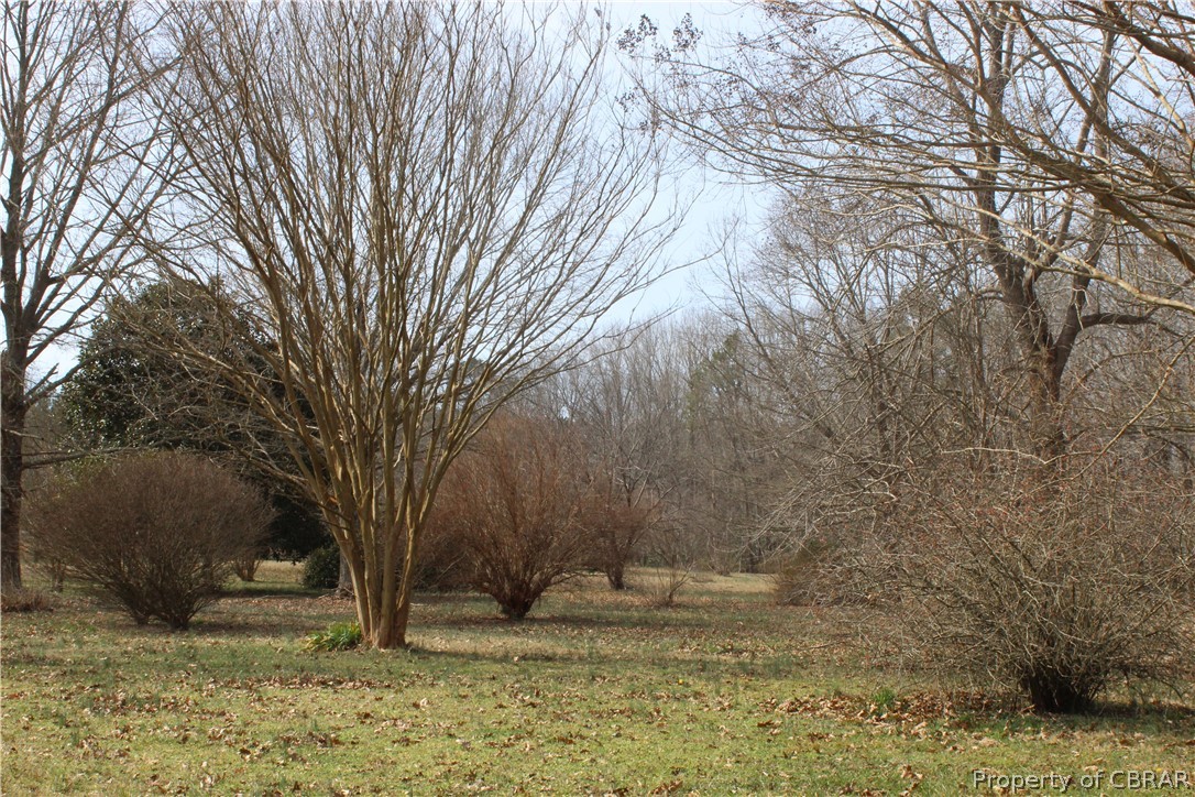 0 Lees Neck Farm Road Saluda, VA 23149 - Photo 6 of 7