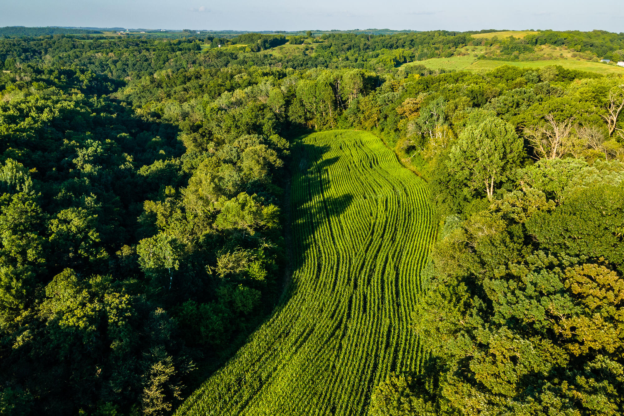 5292 Stenner Hill Road Marion, WI 53805 - Photo 46 of 69 Grant-County-WI-155-Acres-Land-For-Sale-