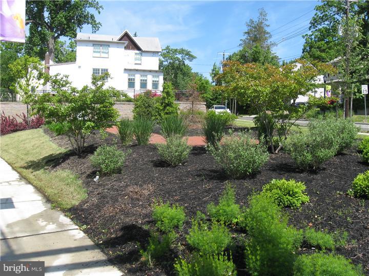 210 Ellis Street Haddonfield, NJ 08033 - Photo 15 of 17 Gallery Image 15