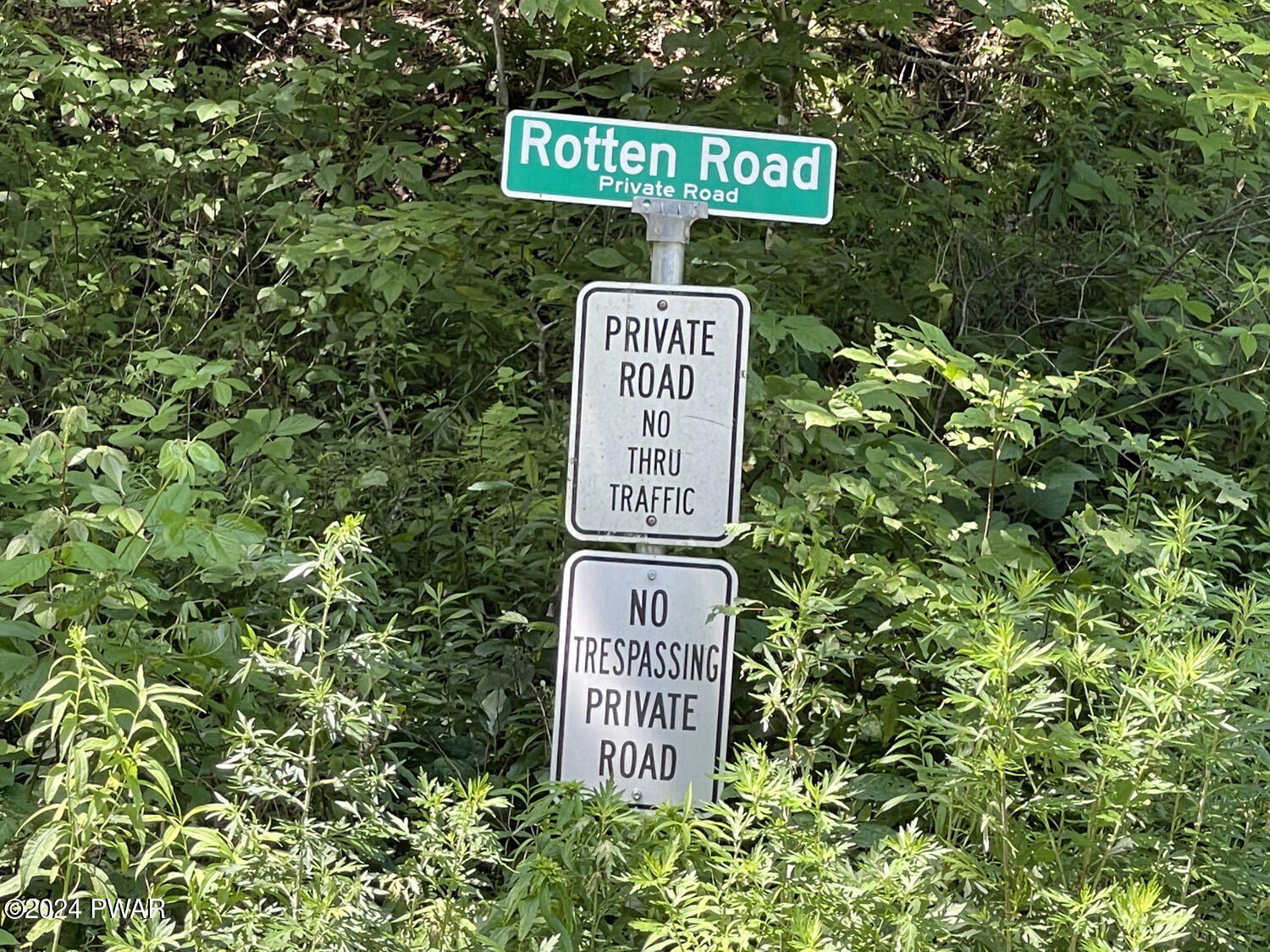 0 Rotten Road Equinunk, PA 18417 - Photo 4 of 20