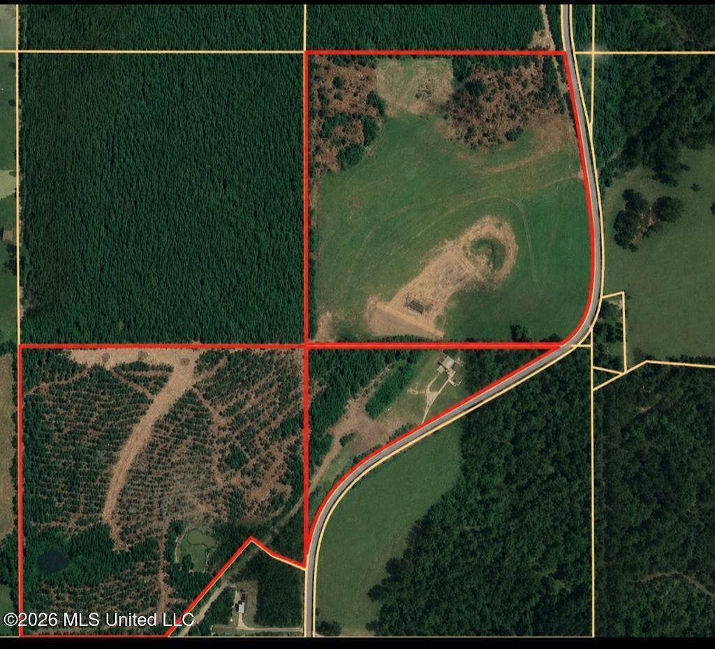 121 Molly Road Foxworth, MS 39483 - Photo 19 of 53 189199_18