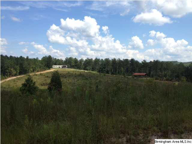 Selma Road, Unit 34ACRES Centreville, AL 35042 - Photo 8 of 15 Gallery Image 8