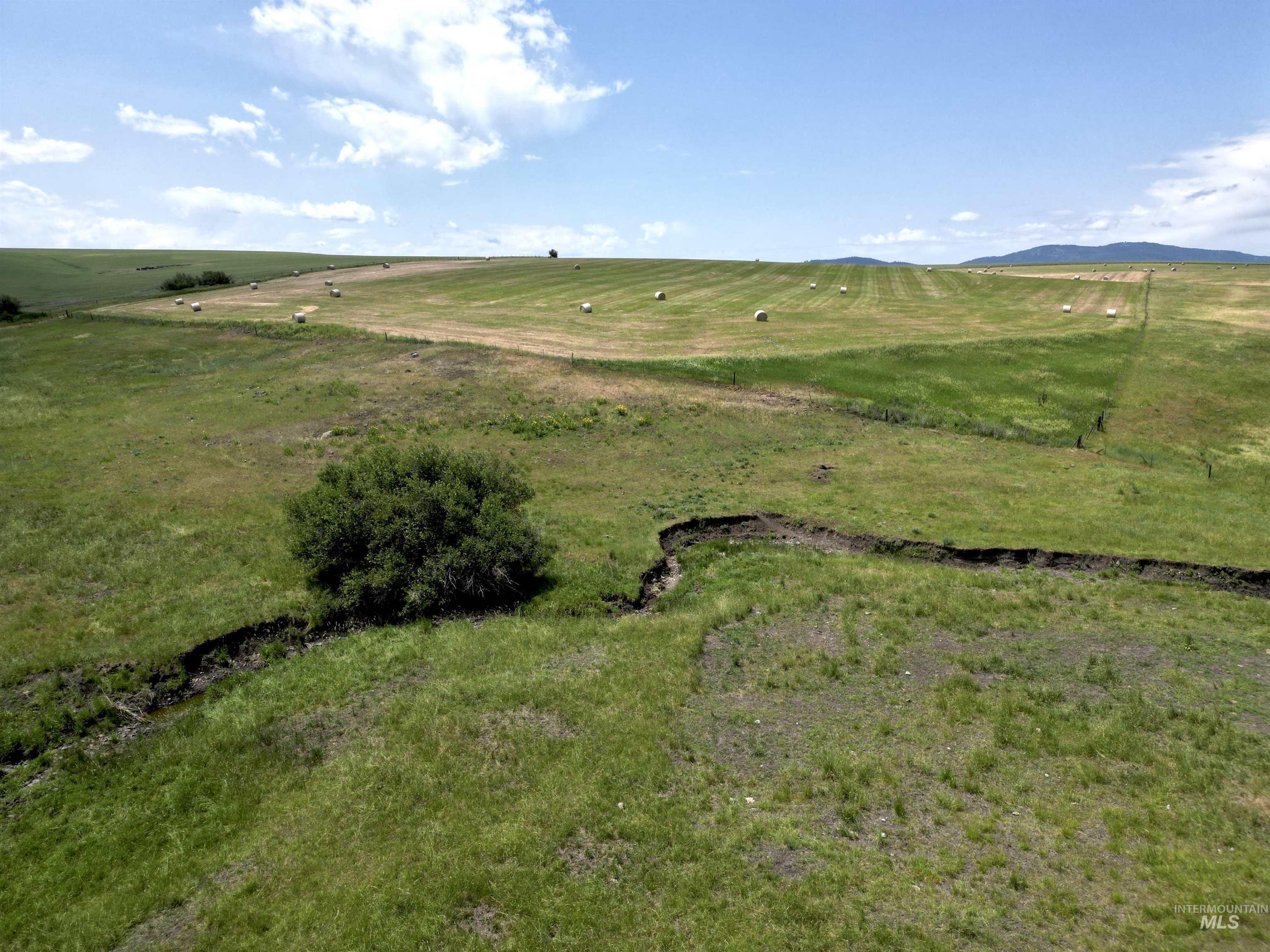 Tbd Wasem Road Grangeville, ID 83530 - Photo 6 of 12 View of rural area with a pastoral area