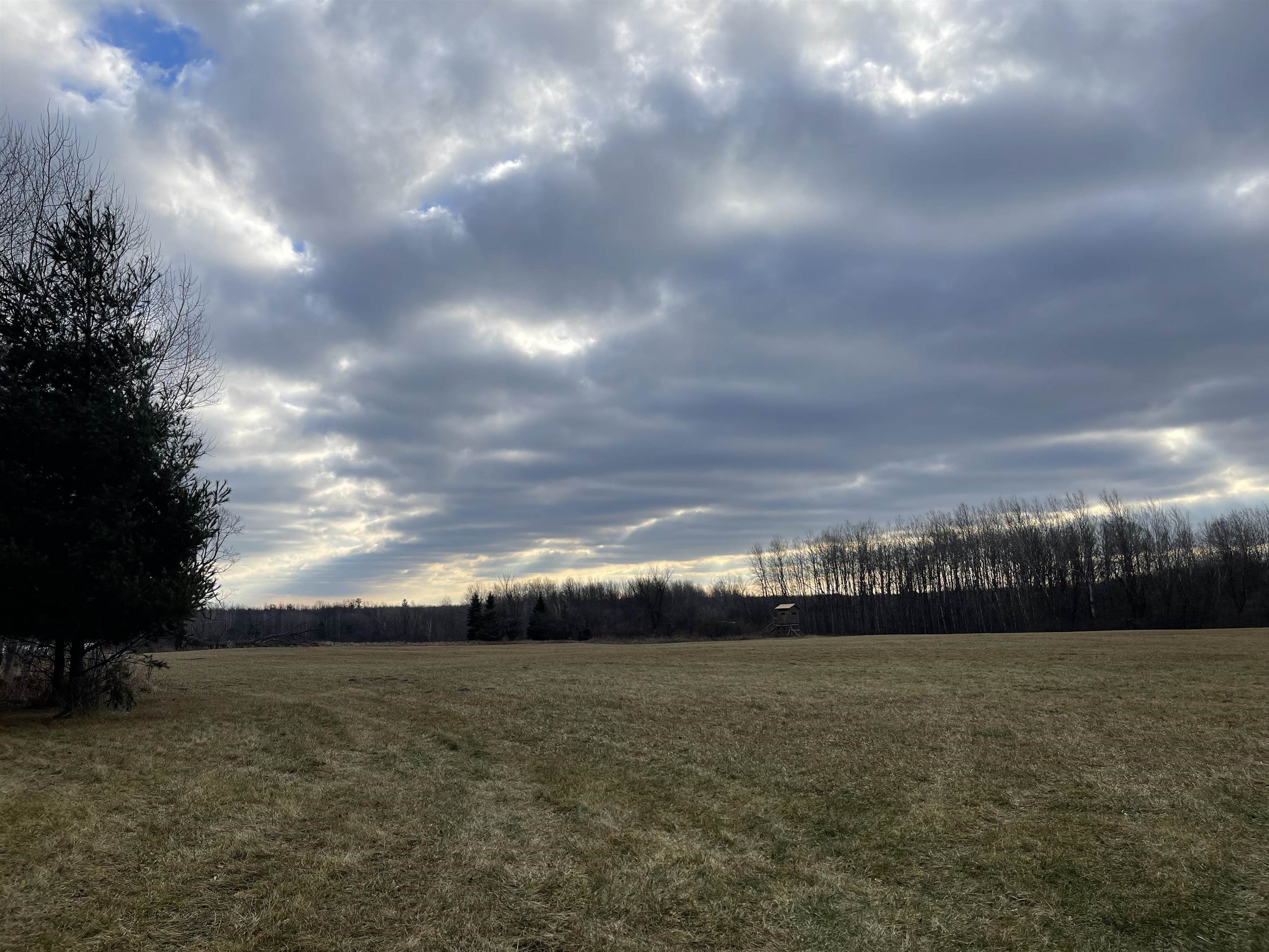 Four 4 Mile Road Evart, MI 49631 - Photo 12 of 38