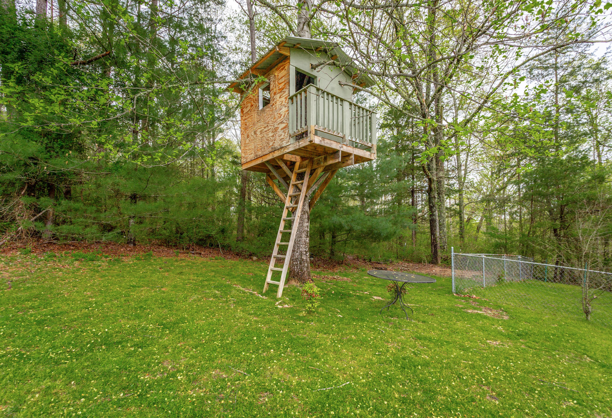 203 Rocking Chair Lane Chickamauga, GA 30707 - Photo 54 of 66 Charming Tree House