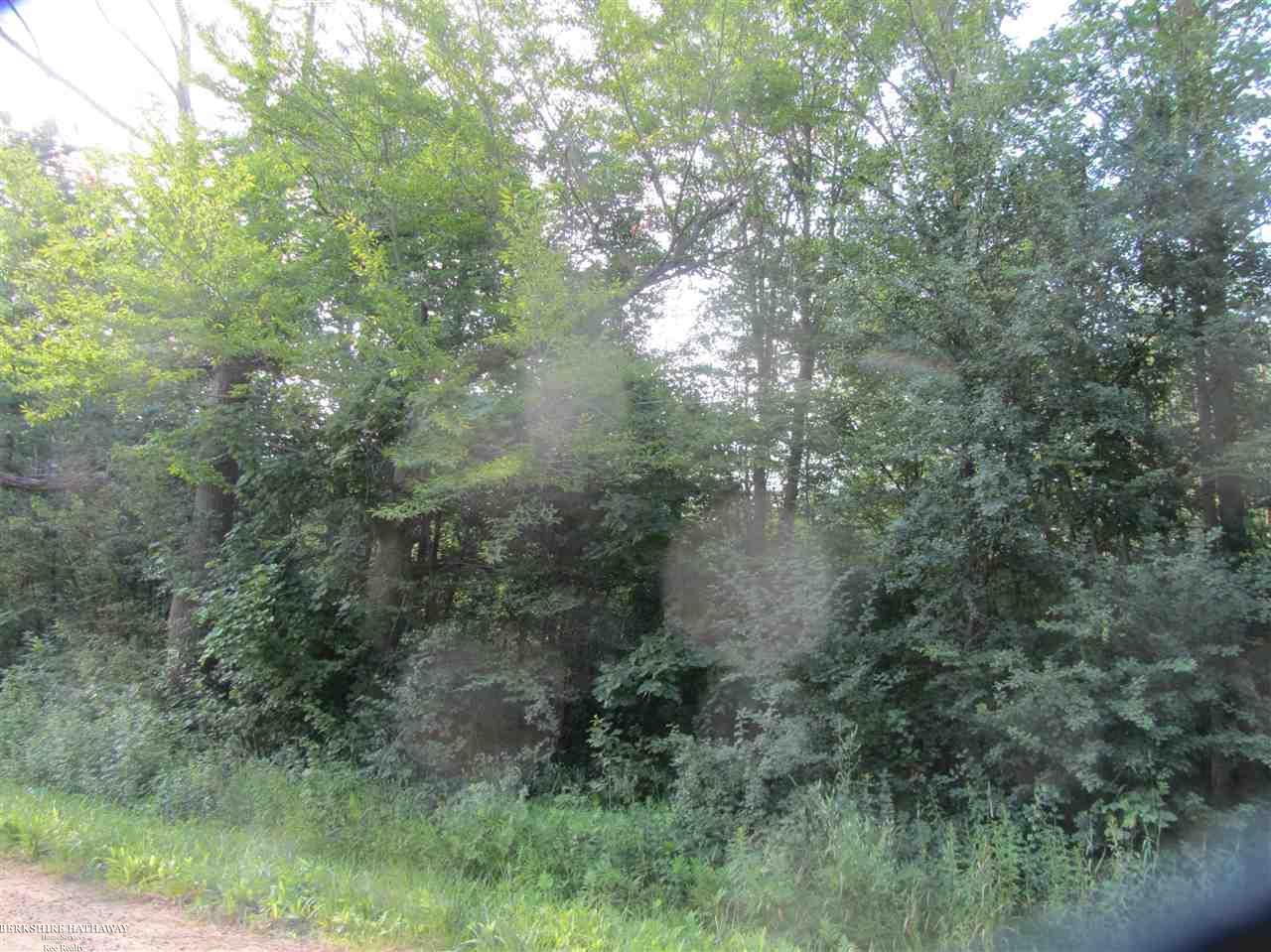 0 West Wellman Line Road Yale, MI 48097 - Photo 9 of 10
