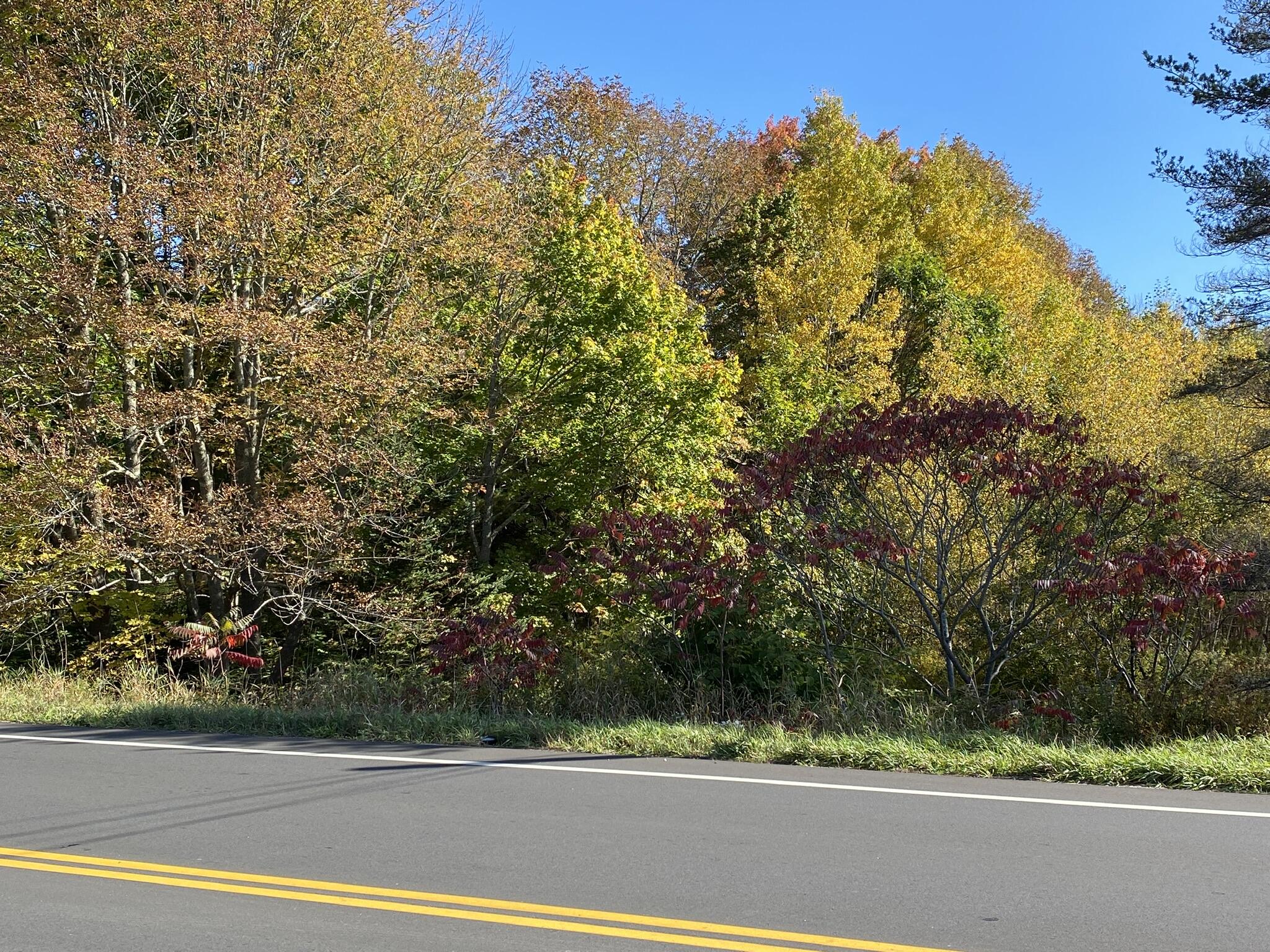 521 River Road St. George, ME 04860 - Photo 68 of 83 D0F6BC50-4E6D-4DA3-9EFE-AE7F158A1C52