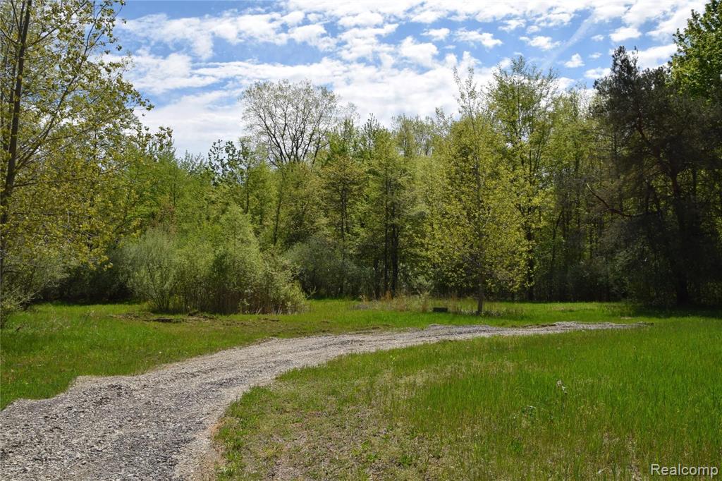 28799 Elwell Road Belleville, MI 48111 - Photo 3 of 42