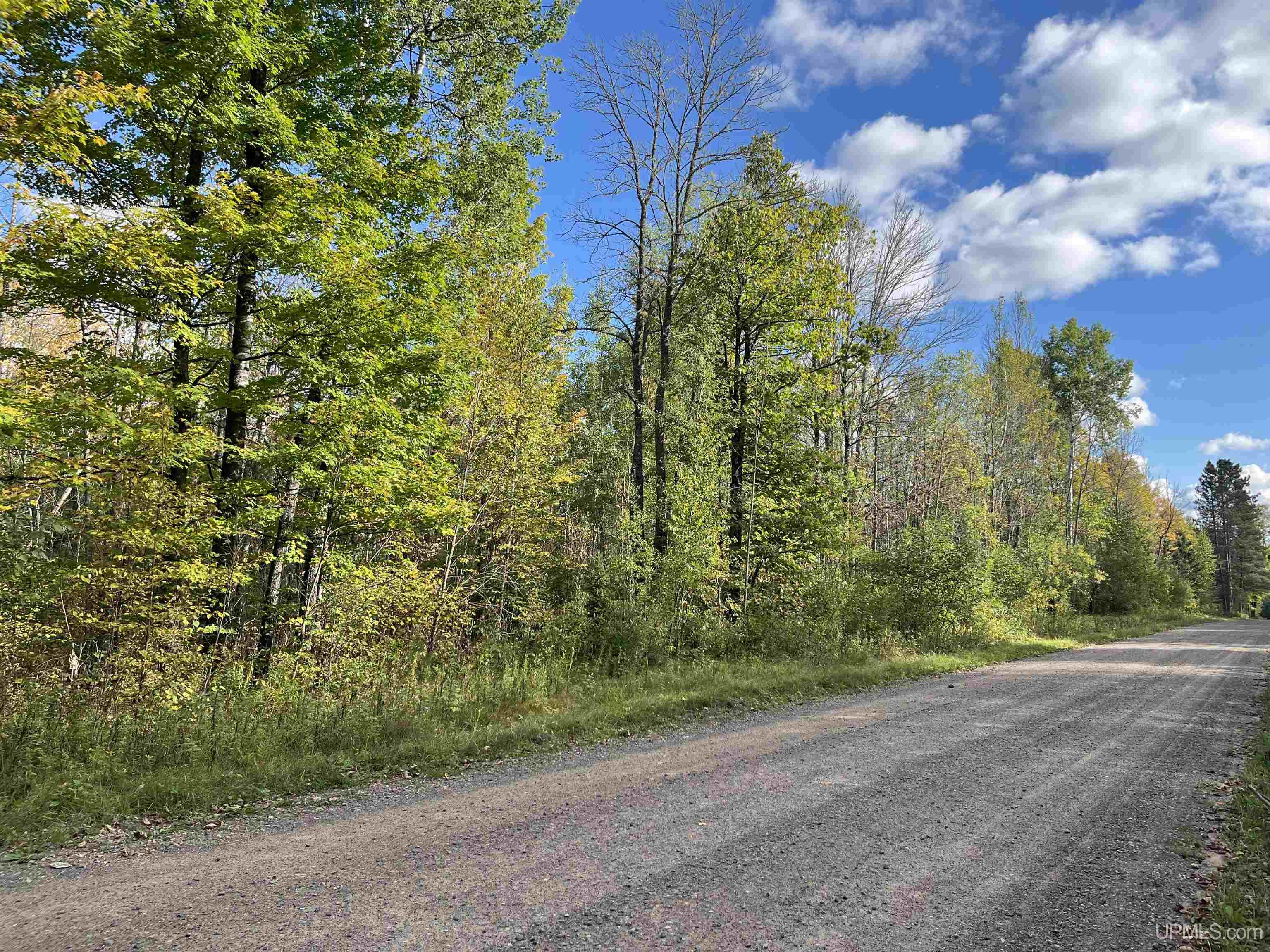 Tbd Settlement Road Long Lake, WI 54542 - Photo 7 of 9 Gallery Image 7
