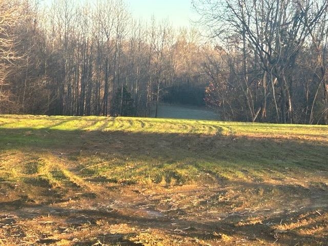 Joe Barfield Road, Unit 8 Henning, TN 38041 - Photo 1 of 2 a view of a backyard of the house