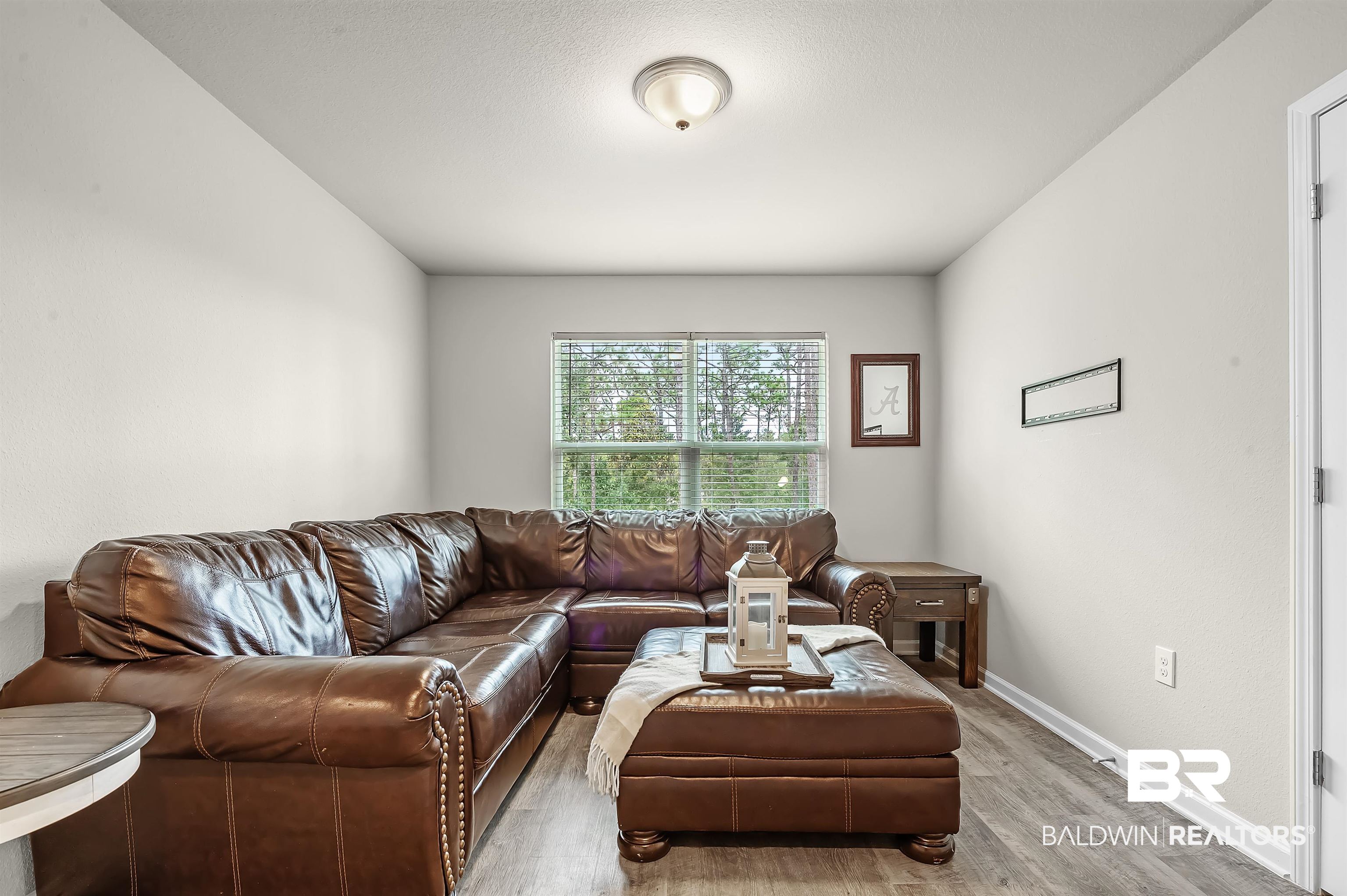 24549 Broken Sound Loop Orange Beach, AL 36561 - Photo 25 of 57 Living room featuring hardwood / wood-style floors