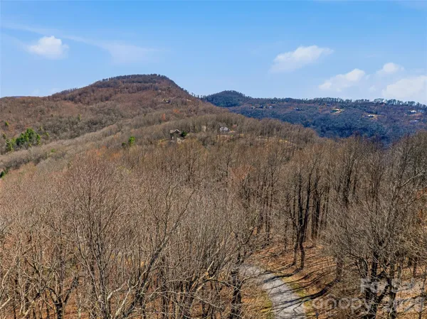 a view of a lush green forest with mountains in the background