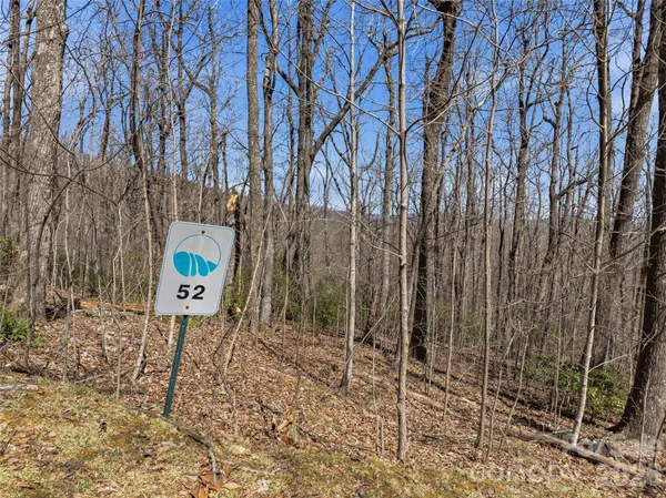 a flag is sitting in the middle of forest