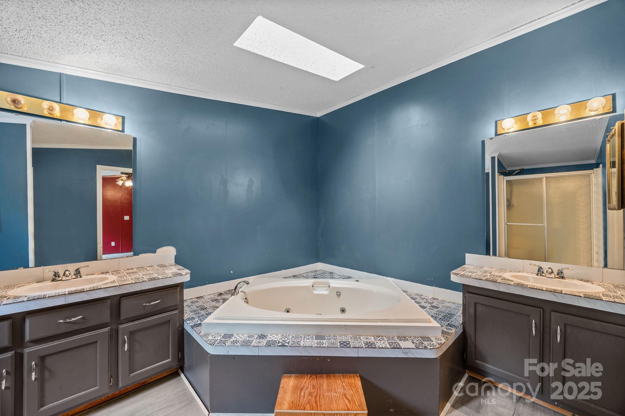 573 Deep Gap Loop Road Flat Rock, NC 28731 - Photo 13 of 20 a bathroom with a sink a vanity and mirror