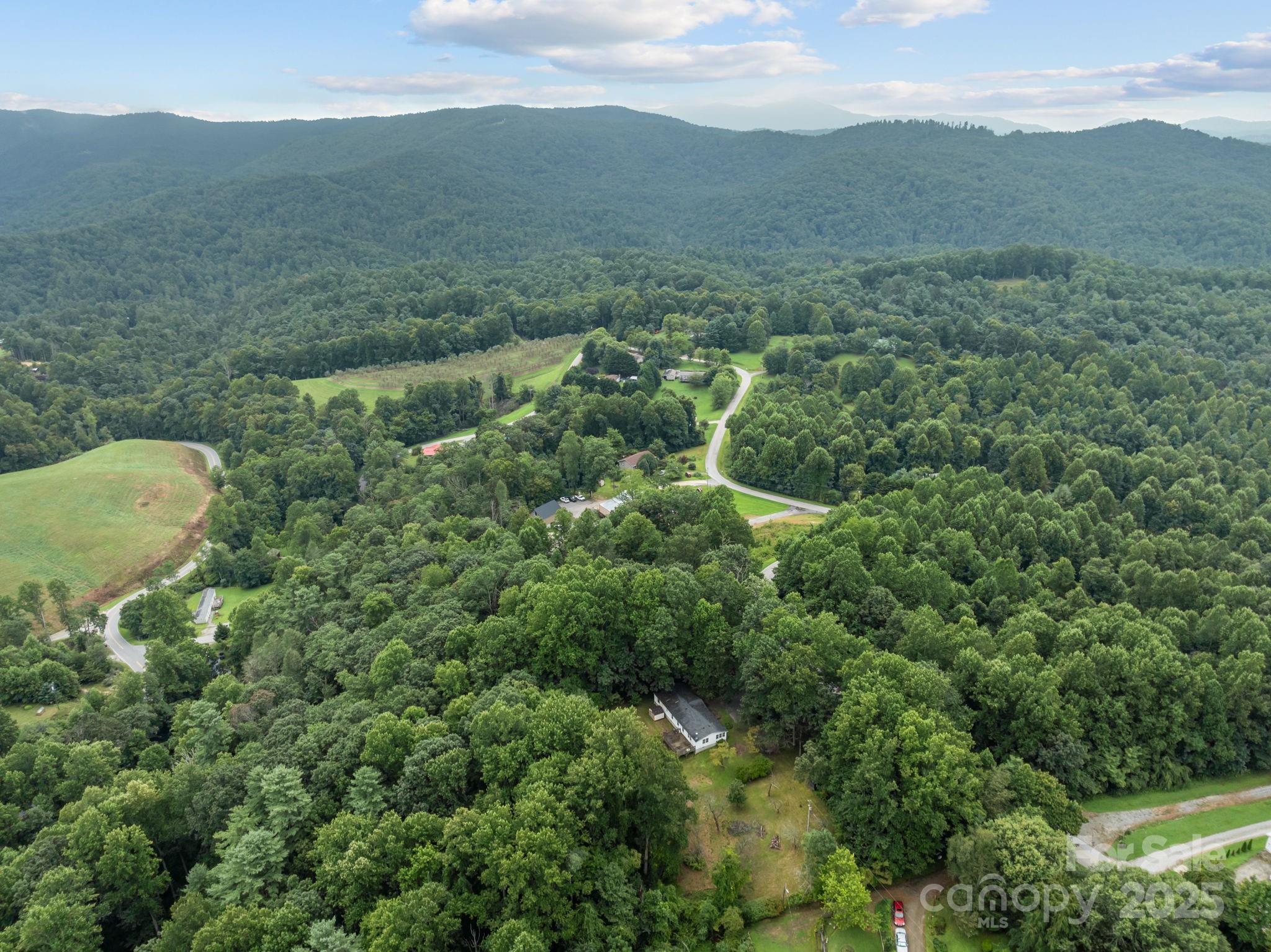 573 Deep Gap Loop Road Flat Rock, NC 28731 - Photo 19 of 20 a view of a mountain in the distance