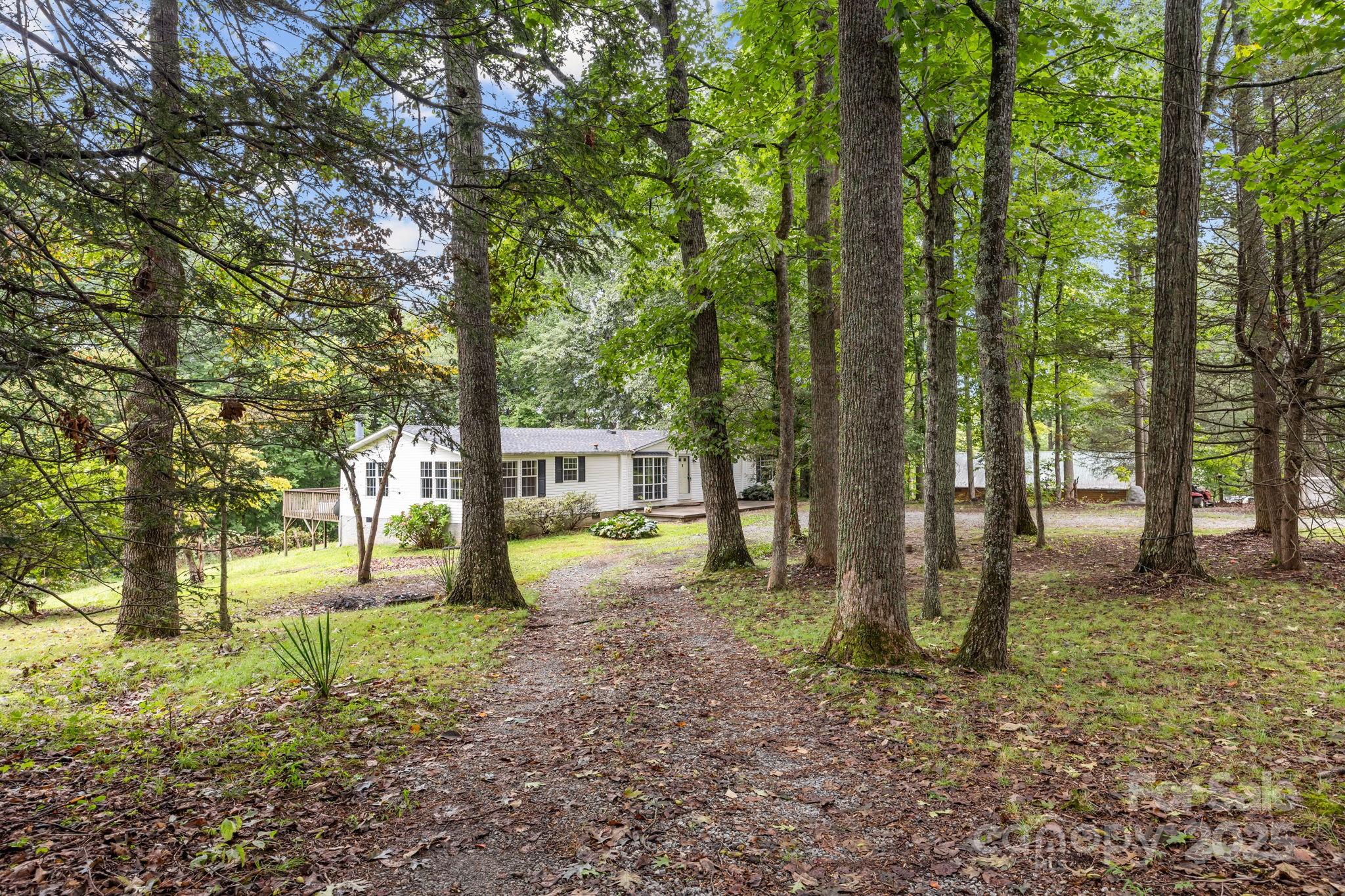 573 Deep Gap Loop Road Flat Rock, NC 28731 - Photo 4 of 20 a view of a yard with tree s