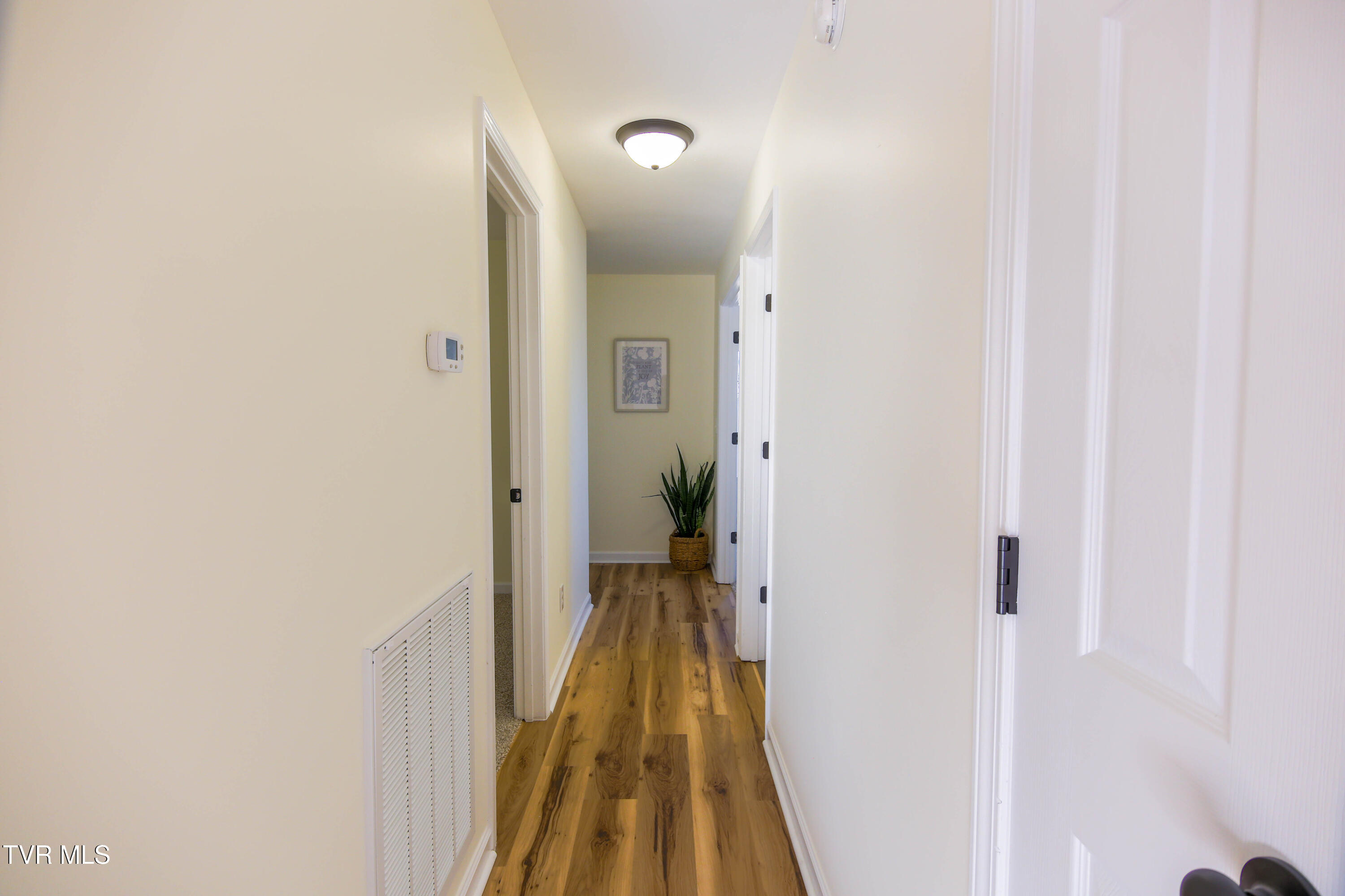 1035 South Water Fork Road Greeneville, TN 37743 - Photo 15 of 43 561A0319-HDR