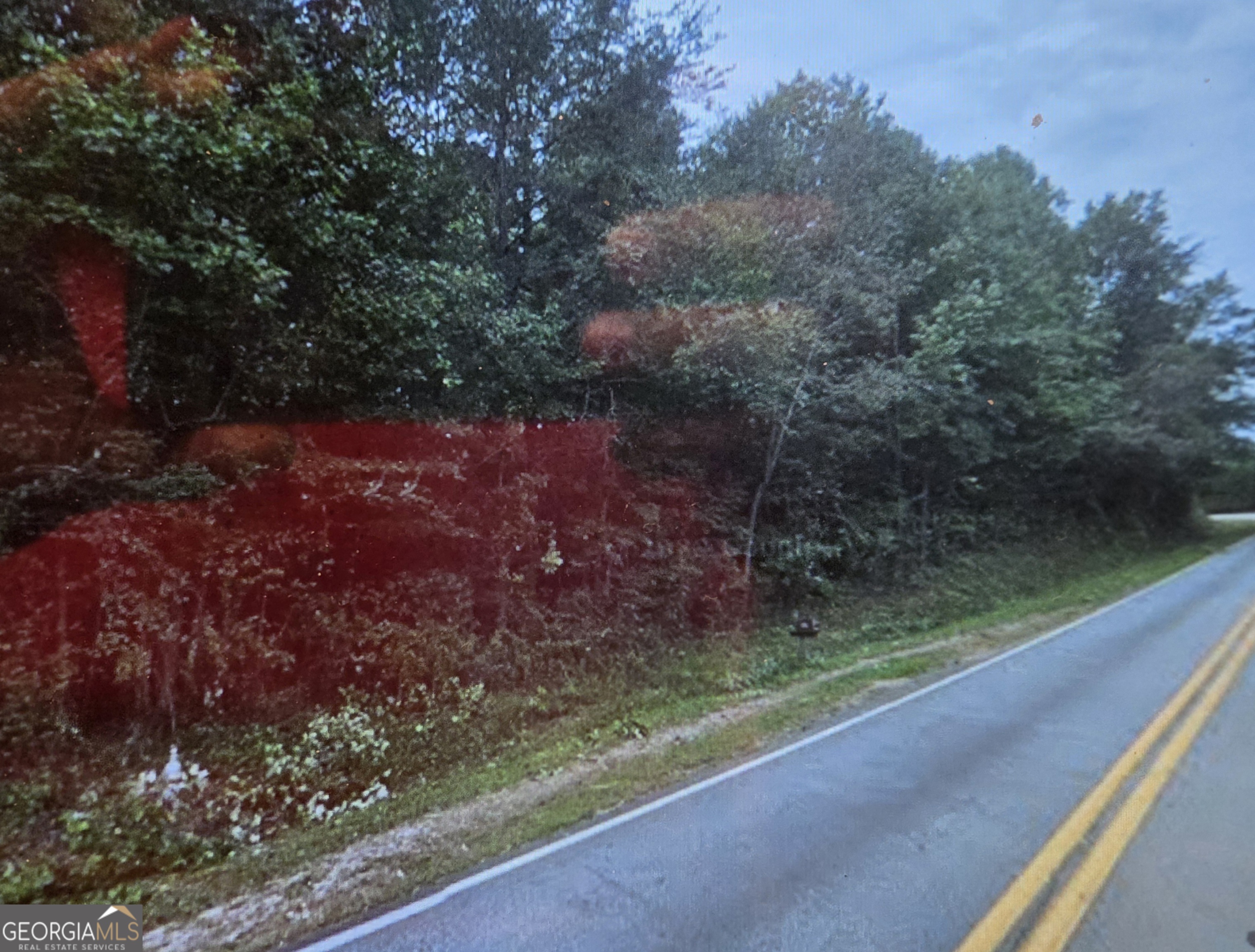 0 Black Road Cleveland, GA 30528 - Photo 1 of 1 a view of a yard with a tree