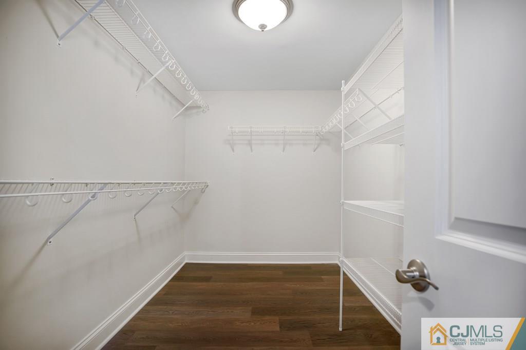 17 Greenbrook Road Middlesex, NJ 08846 - Photo 6 of 24 a view of walk in closet