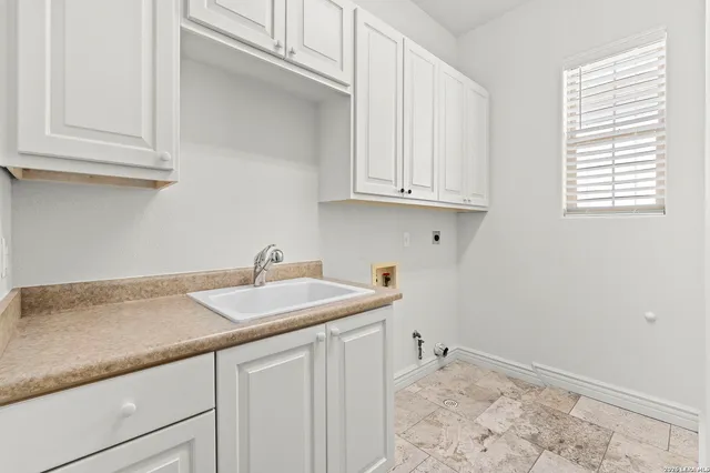 a view of backyard with plants and trees