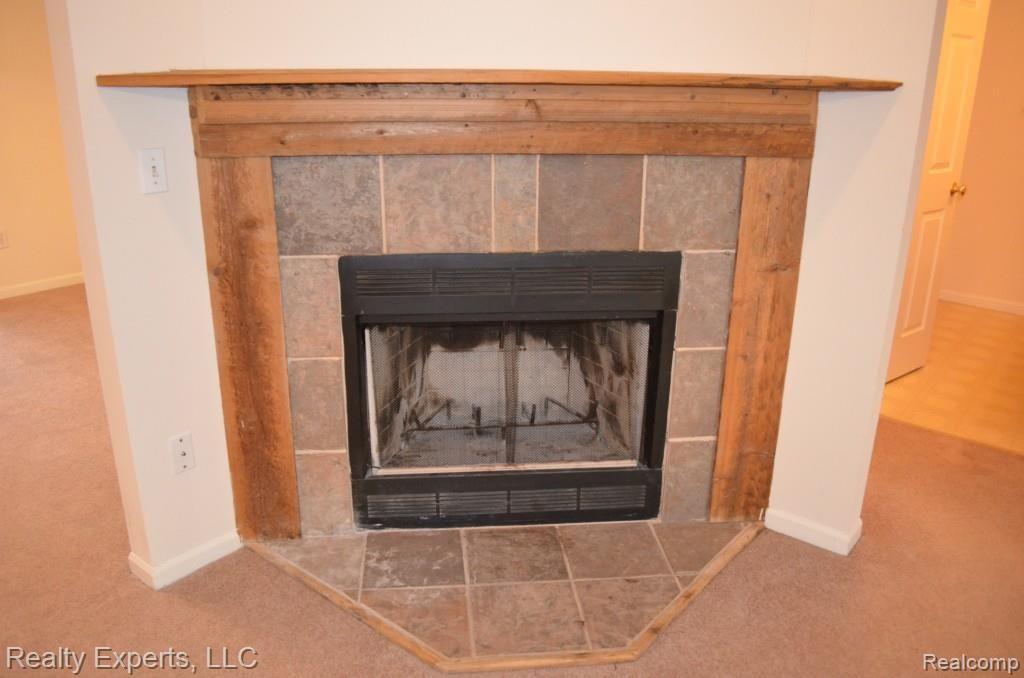 50300 Willow Road Belleville, MI 48111 - Photo 7 of 27 Natural Fireplace