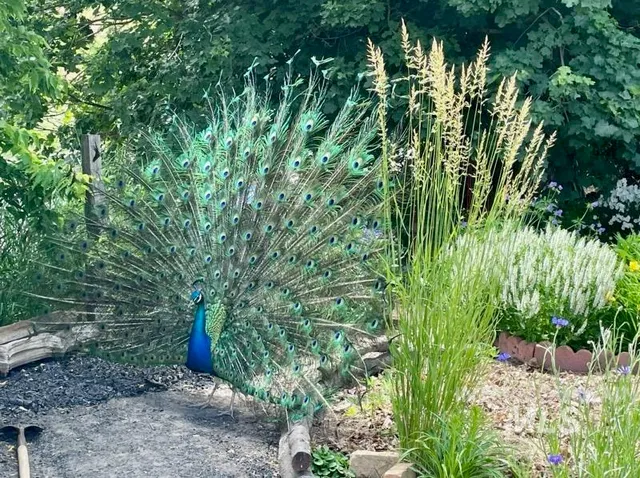 $649,900 | 6302 Sand Road, Pullman, WA 99163