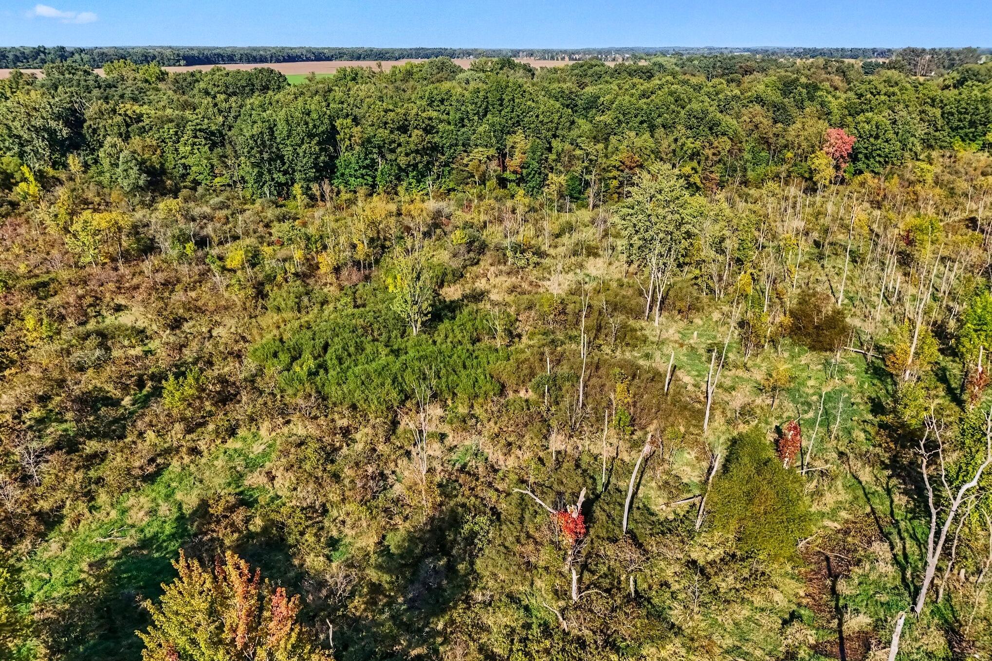 0 Hoshel Road Three Rivers, MI 49093 - Photo 13 of 19 13 _ Hoshel Road