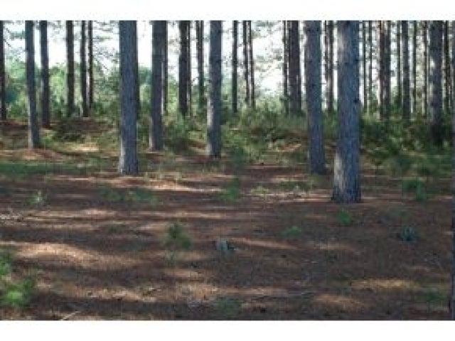 Lot 2 Cody Road Tomahawk, WI 54487 - Photo 8 of 9 Gallery Image 8