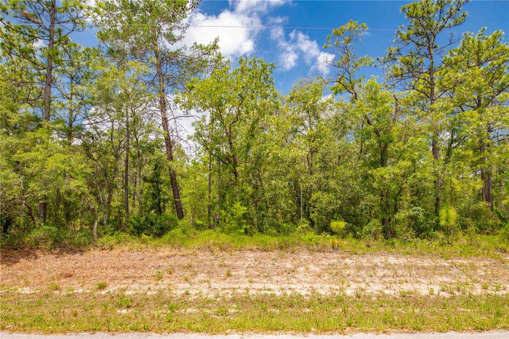 0 Mt Sparrow Road Weeki Wachee, FL 34614 - Photo 1 of 1 a view of a yard with a tree