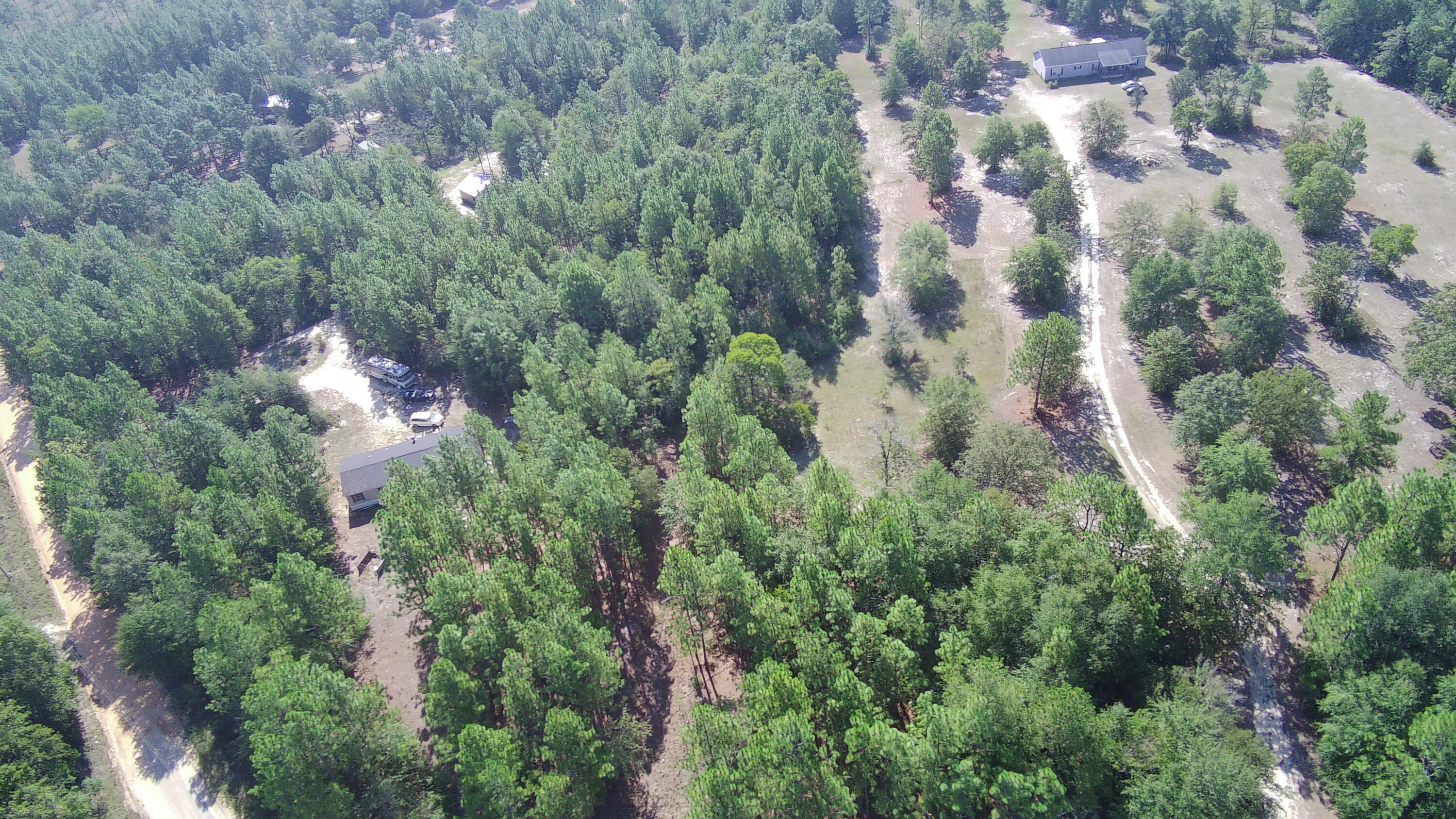 Xx Windsor Road Windsor, SC 29856 - Photo 6 of 11 SING0225