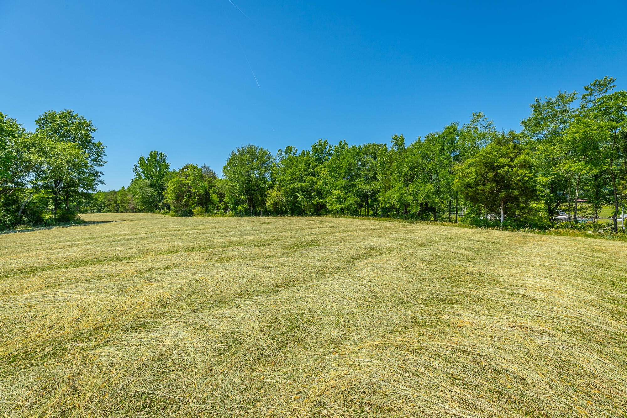 1655 West Cove Road Chickamauga, GA 30707 - Photo 14 of 62 Gallery Image 14