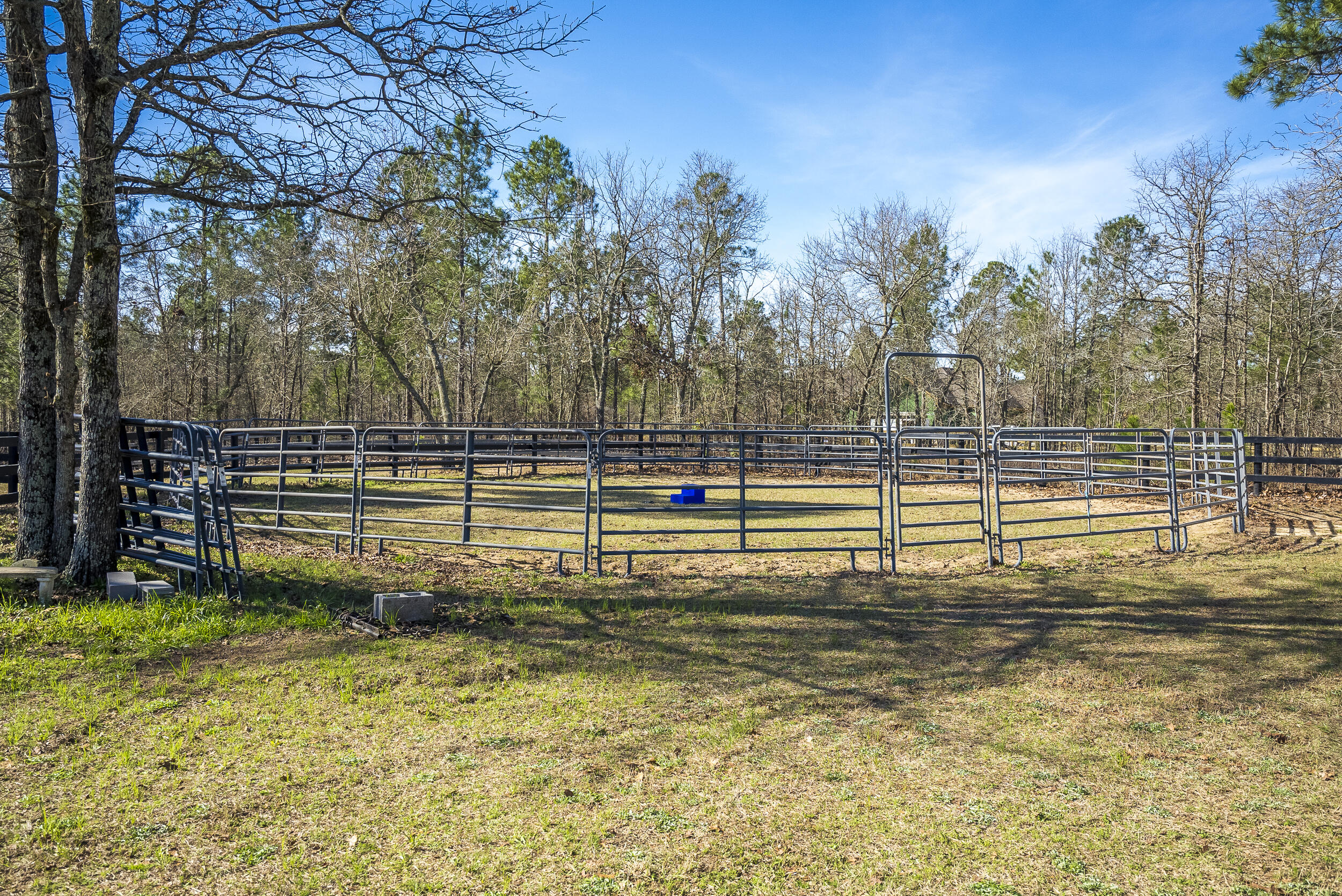 7164 Rembert Place Aiken, SC 29803 - Photo 59 of 67