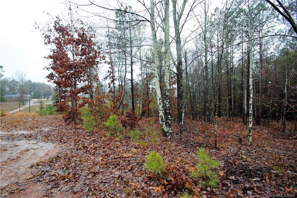 Off White Store Road Wadesboro, NC 28170 - Photo 5 of 8 Gallery Image 5