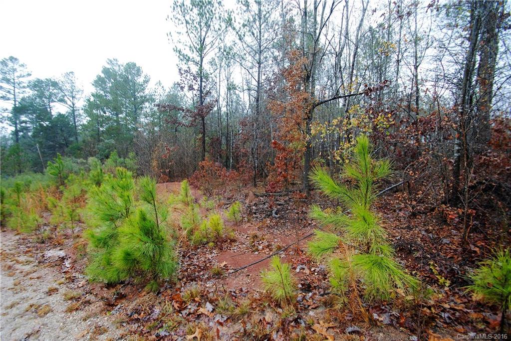 Off White Store Road Wadesboro, NC 28170 - Photo 6 of 8 Gallery Image 6