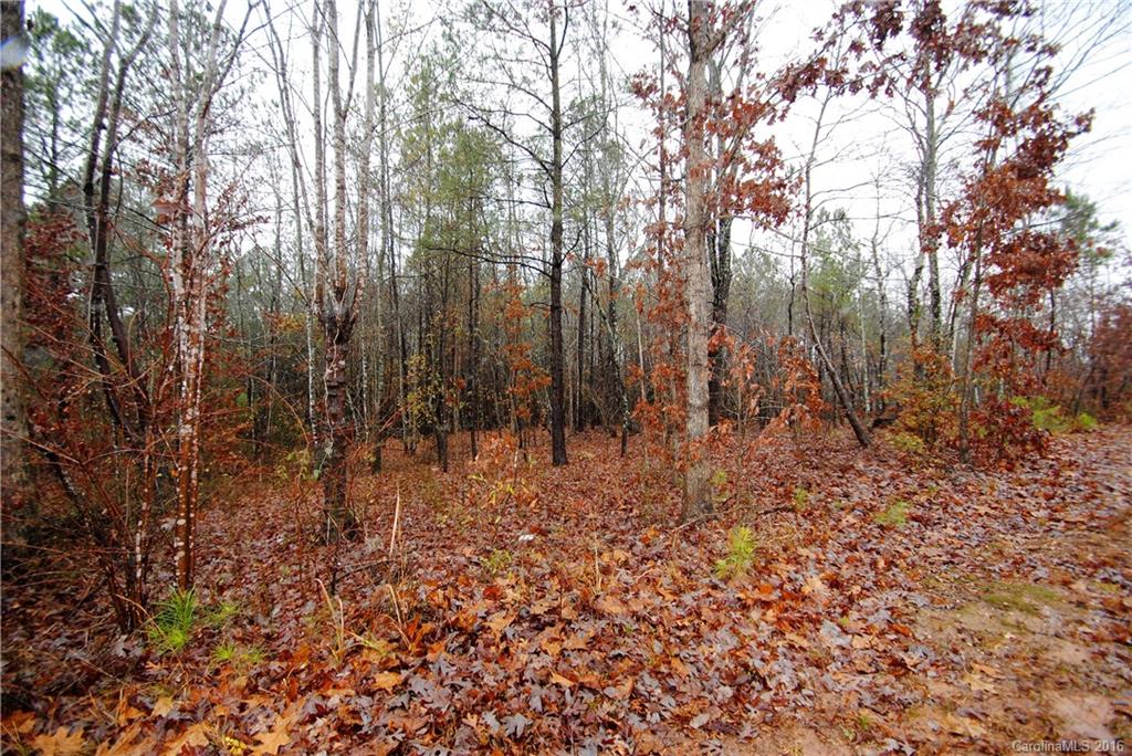 Off White Store Road Wadesboro, NC 28170 - Photo 7 of 8 Gallery Image 7