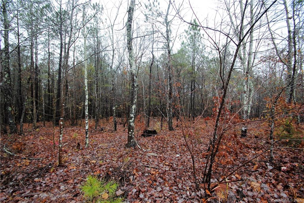 Off White Store Road Wadesboro, NC 28170 - Photo 8 of 8 Gallery Image 8