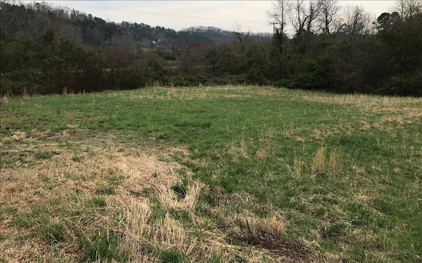 4.08 Tomotla Road Marble, NC 28905 - Photo 1 of 1 Main View