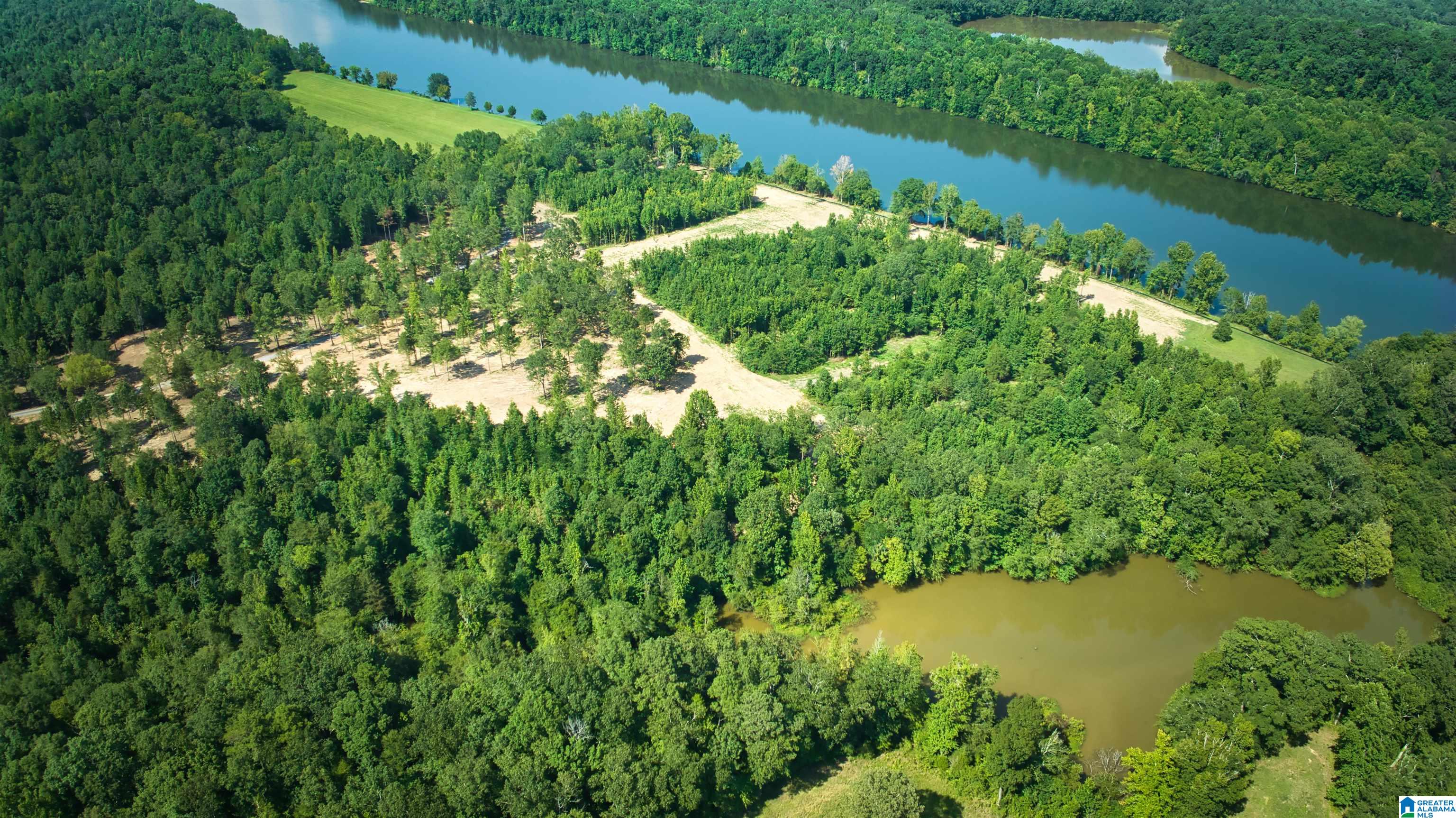 Lot 20 Wester Road, Unit LOT 20 Ragland, AL 35131 - Photo 37 of 68