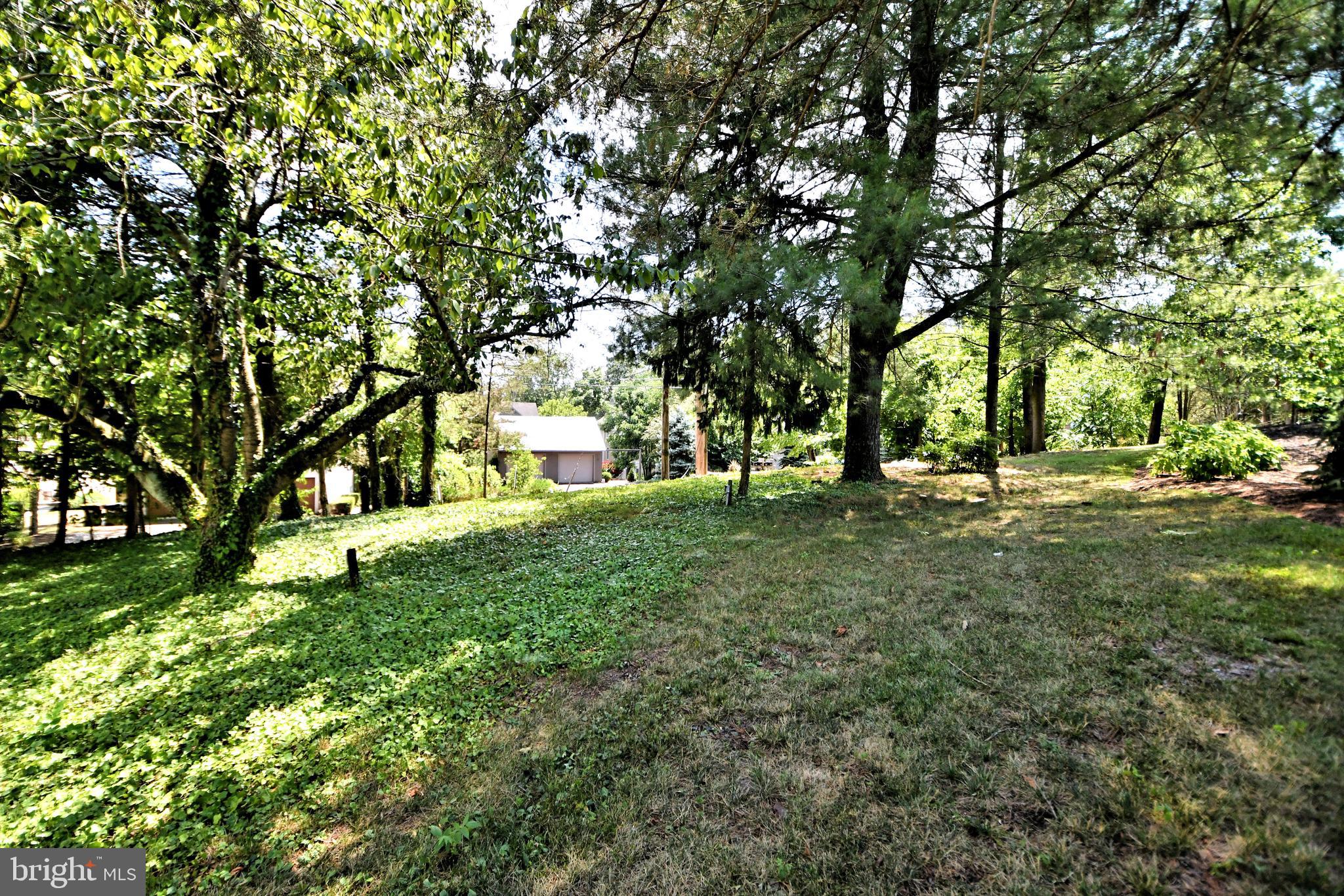 143 Old York Road New Hope, PA 18938 - Photo 69 of 70 a view of park with tree s