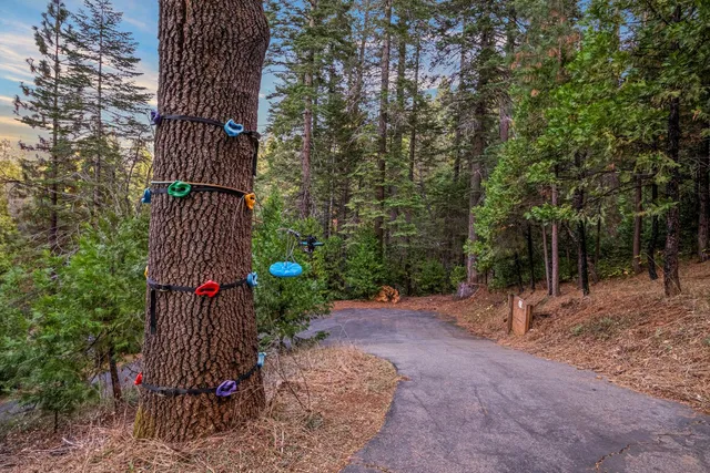 $725,000 | 2729 Mokelumne Drive West, Arnold, CA 95223