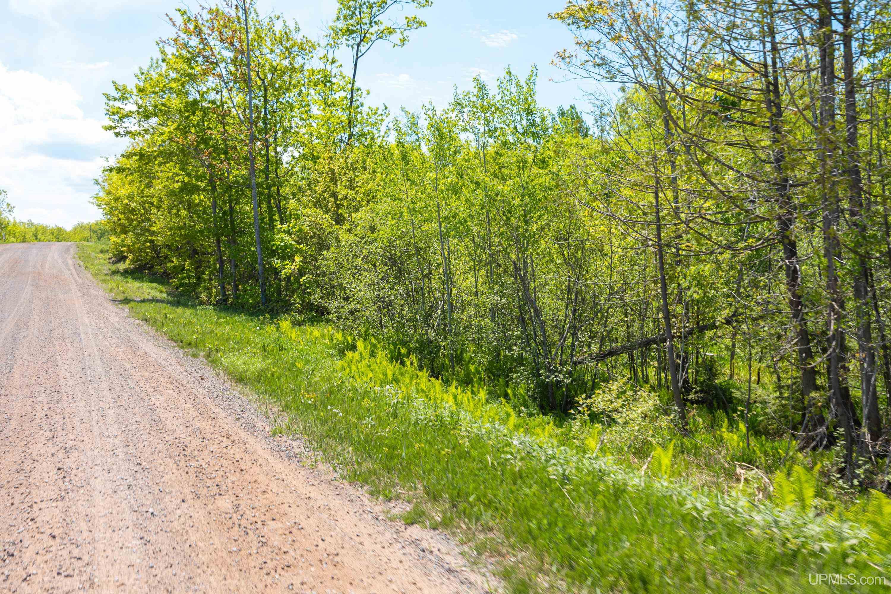 Lot 1 Airport Road, Unit CO RD 35B Calumet, MI 49913 - Photo 15 of 19