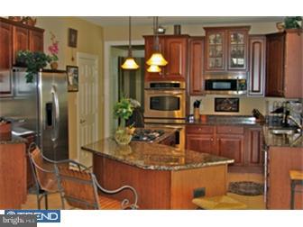 14 Winding Brook Drive Sinking Spring, PA 19608 - Photo 7 of 12 Kitchen