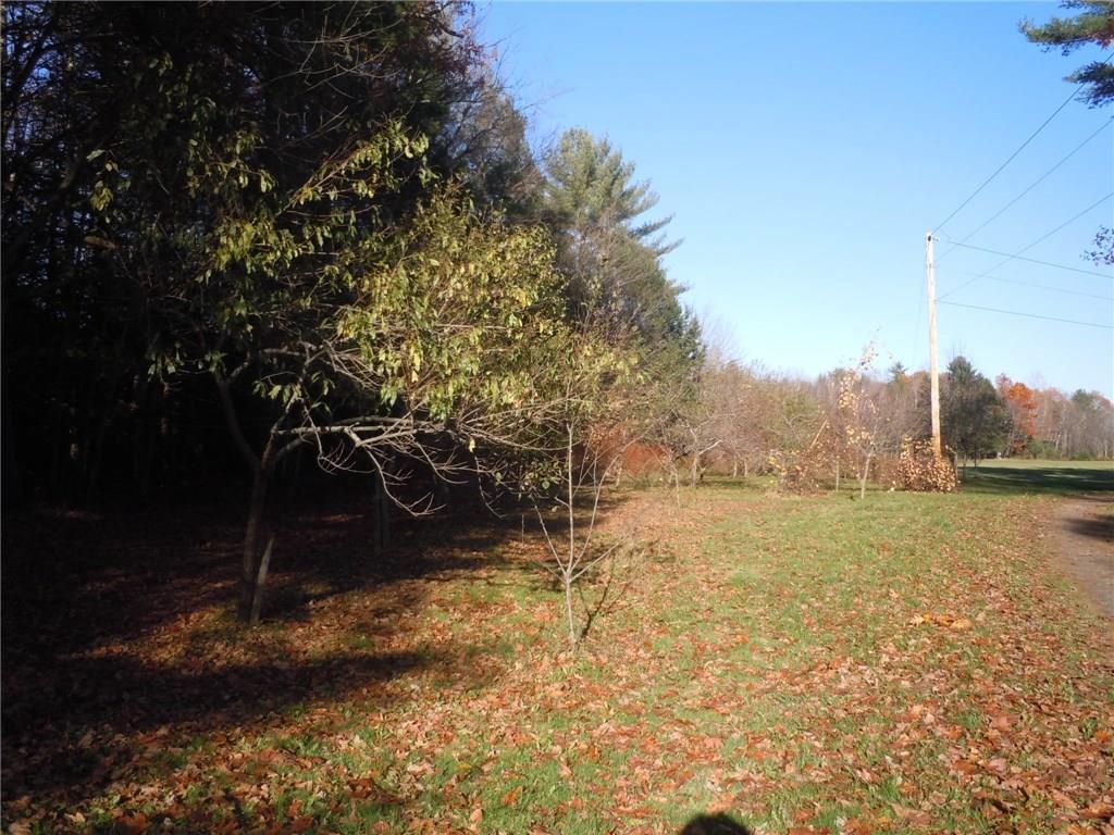 718 Long Plains Road Buxton, ME 04093 - Photo 6 of 7 Orchard #2