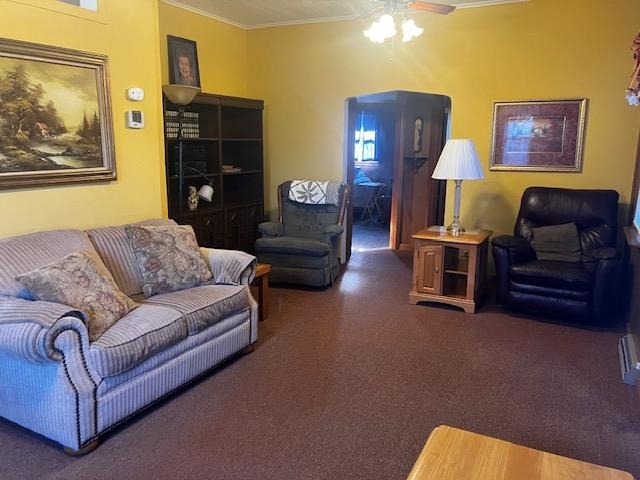 425 East Dakota Street Spring Valley, IL 61362 - Photo 4 of 20 Gallery Image 4