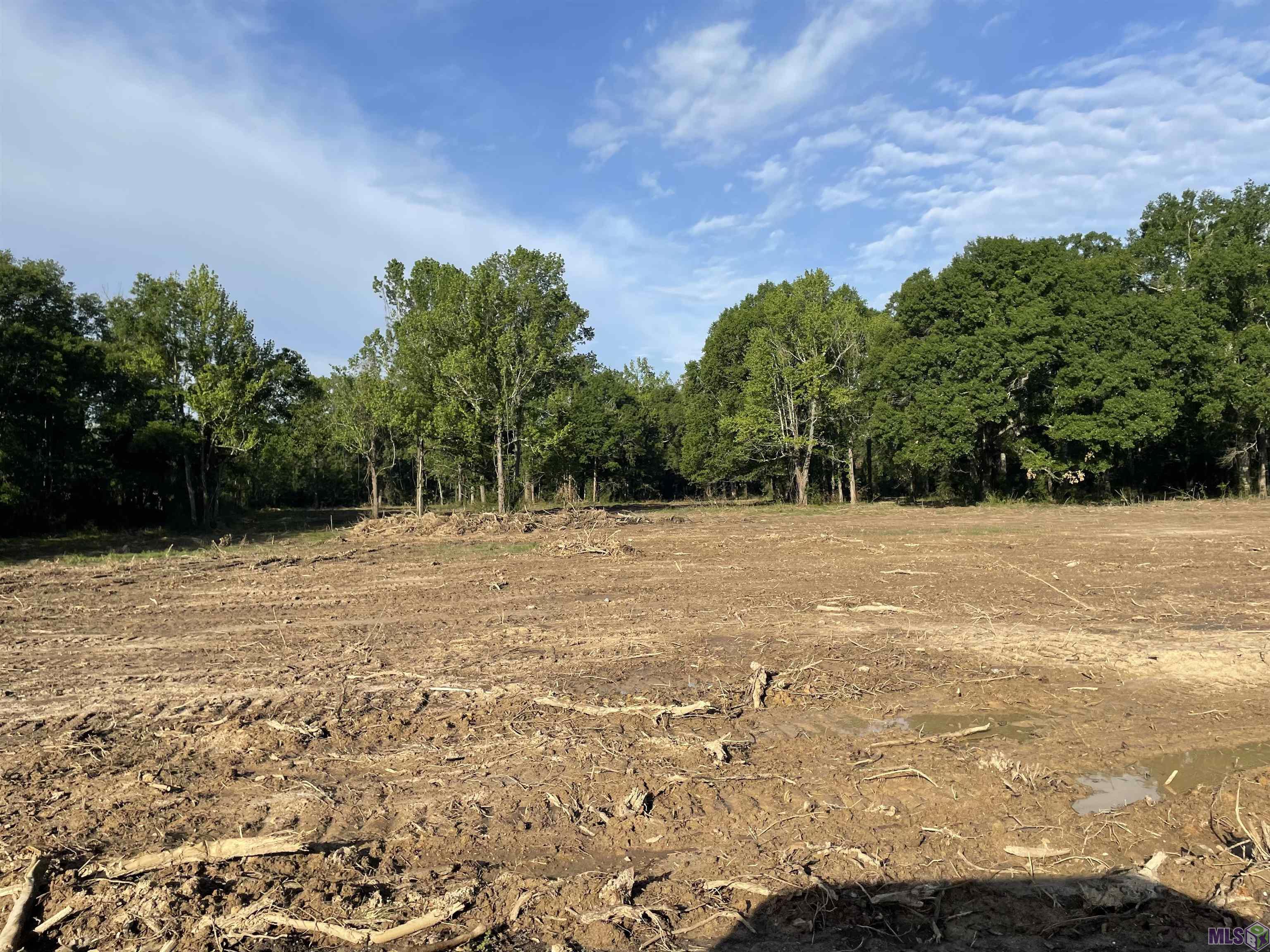 Tbd Lot 5 D Tbd Road Prairieville, LA 70769 - Photo 1 of 4 Gallery Image 1