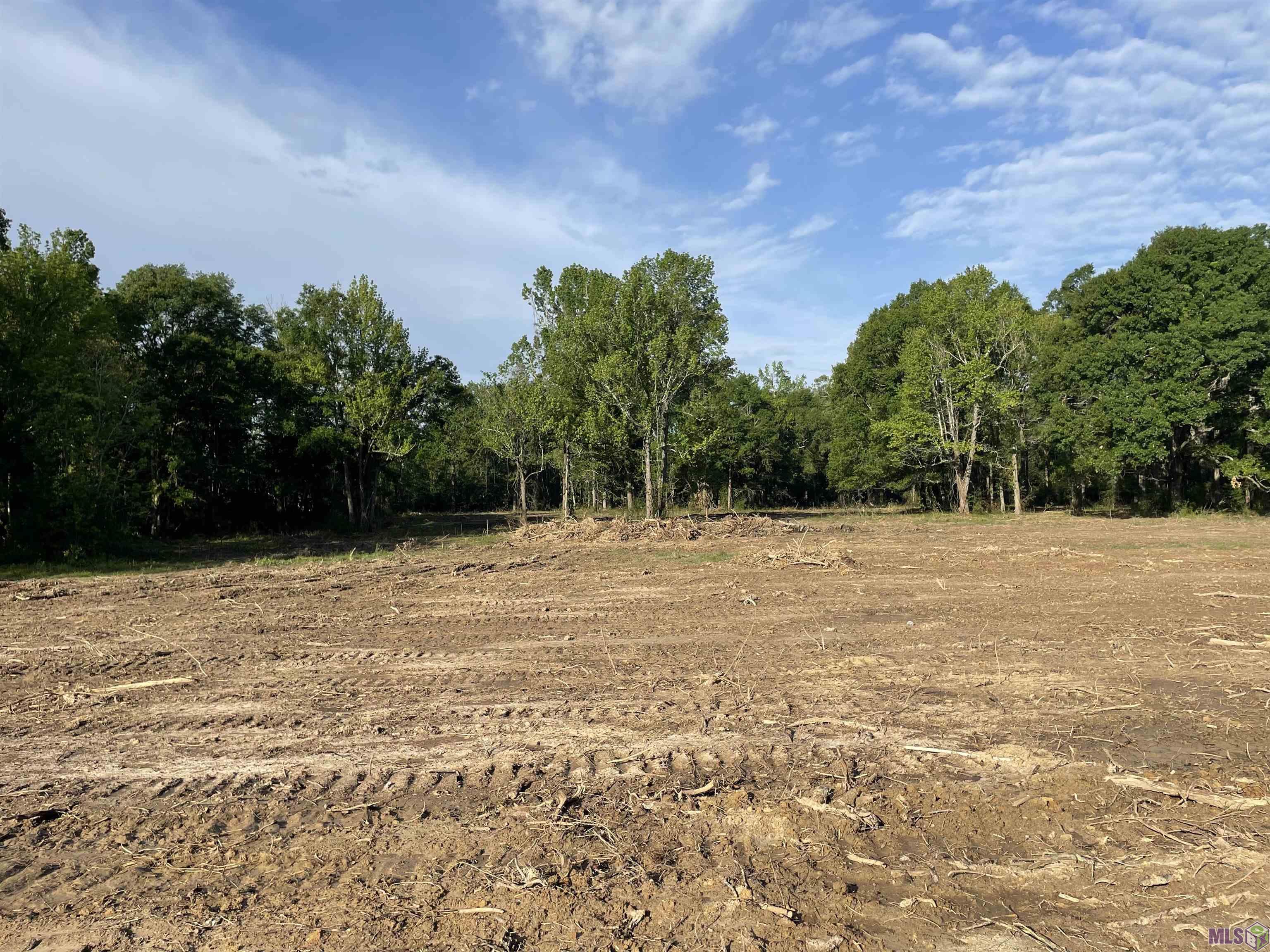 Tbd Lot 5 D Tbd Road Prairieville, LA 70769 - Photo 3 of 4 Gallery Image 3