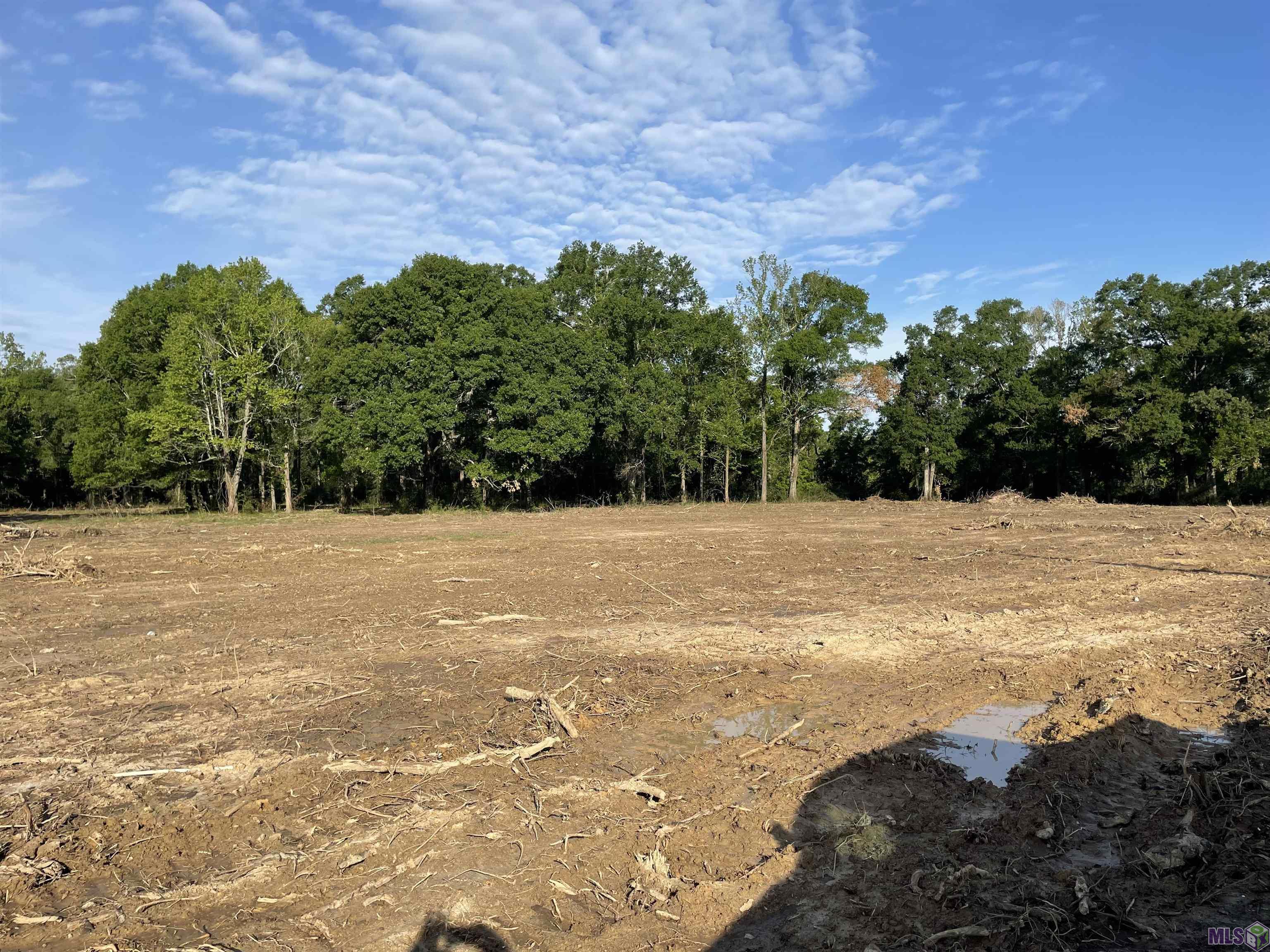 Tbd Lot 5 D Tbd Road Prairieville, LA 70769 - Photo 4 of 4 Gallery Image 4