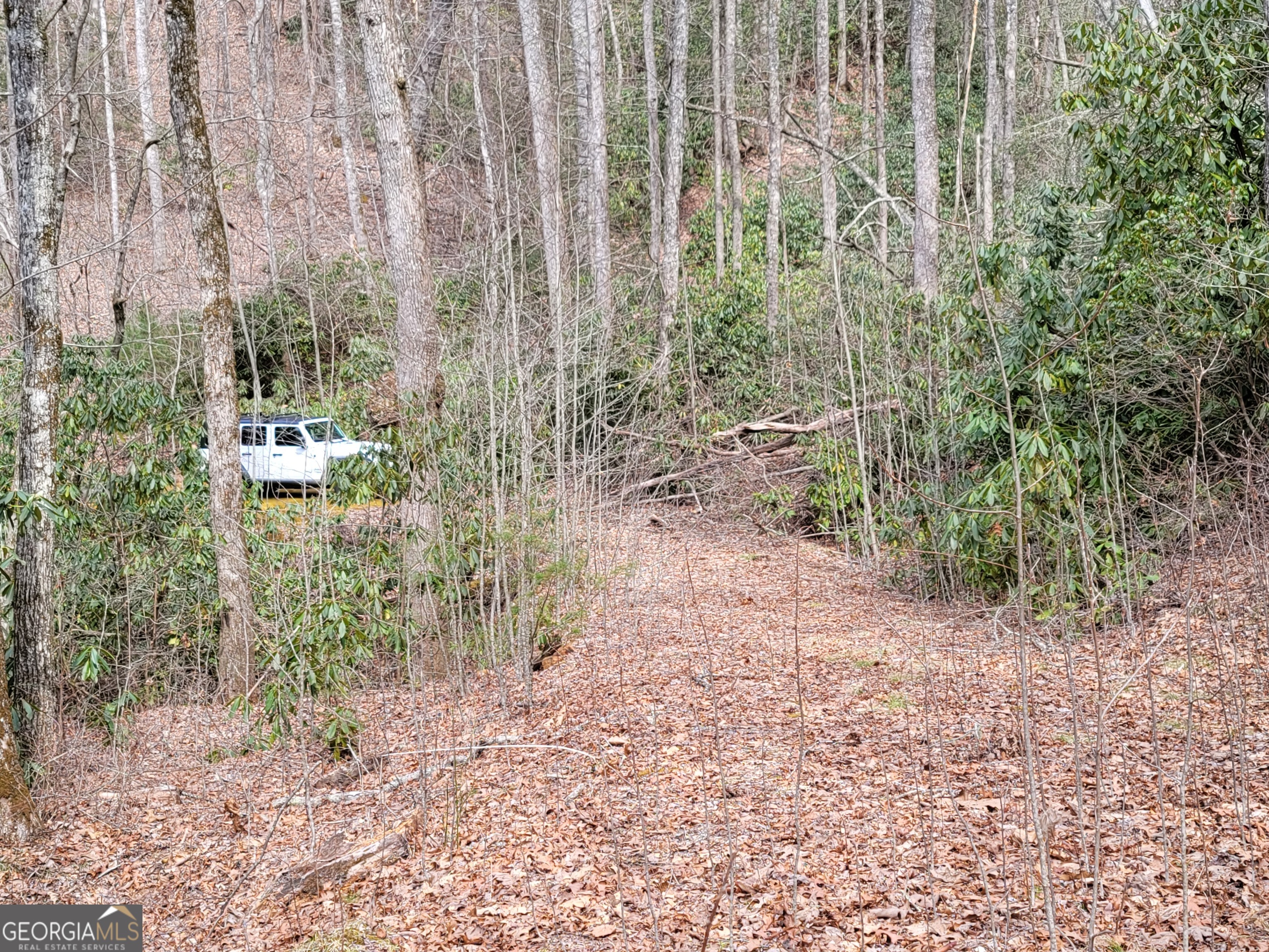 0 Bald Mountain Road, Unit 55 57 Dillard, GA 30537 - Photo 2 of 21 a view of a yard with plants