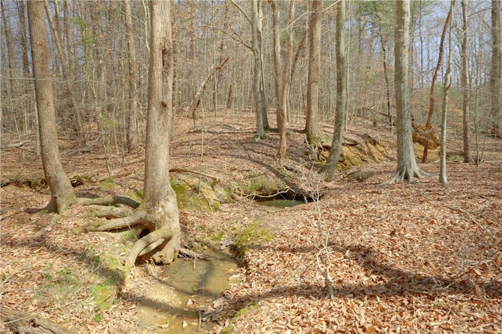 1019-11 George Road Westfield, NC 27053 - Photo 10 of 20